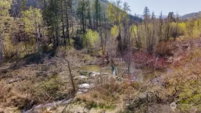 beaver ponds