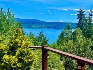 Mt Rainer from deck
