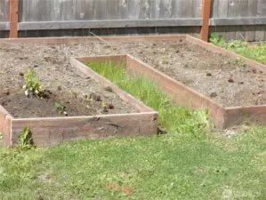 Raised beds for an easy garden.