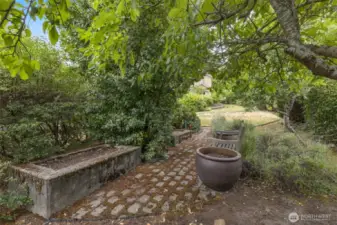 There is so much to discover in this yard!