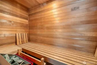 Sauna in primary suite