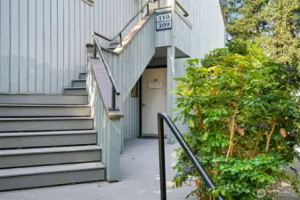 Entry under stairs