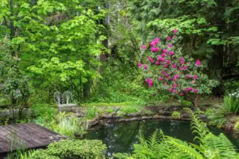 15 foot deep plunge pool with jumping platform and stone steps for easy access
