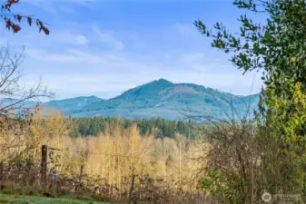 View property in Arlington, WA looking at The Cascade Mountain range providing a scenic backdrop for any development or recreation.Level and secluded. Bluff over the fence to E Division st.