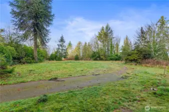 Looking West, secluded and level lot. Bluff on Right of image. Arlington property.