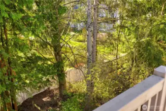 Surrounded by nature!