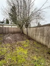 Spacious and fenced back yard