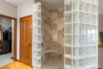 Primary Shower
