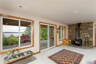 Lower level Den with wood stove