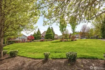 Lovely park across the street