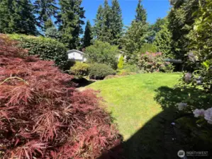 Park like front yard