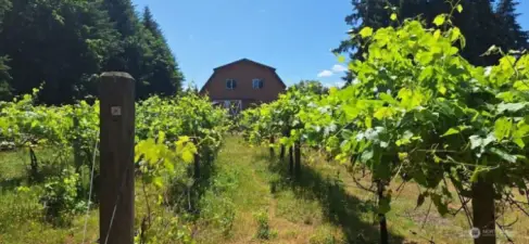 Picture says it all.