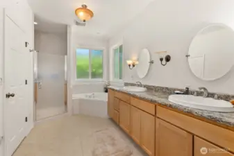 Primary bath with Jacuzzi tub and huge double shower.