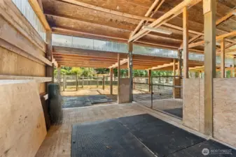 Interior of livestock building