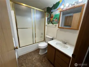 Hall bathroom with the laundry