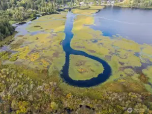A dock awaits you just steps away to drop your kayak in the water