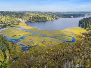 Your dock is just steps away from the back porch!