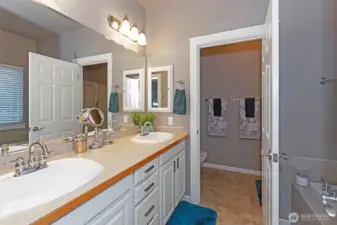 Primary Bath - Shower/WC separate.