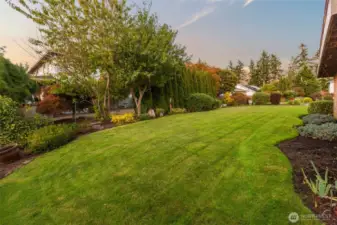Backyard looking east