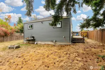 House Backyard