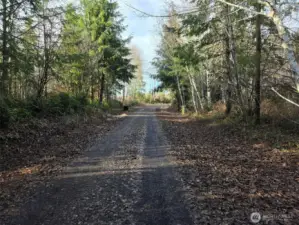Existing roadway coming into the property.