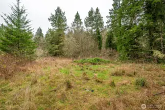 Lightly treed, level and ready for your acreage home.