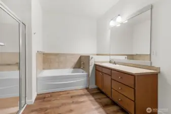 Spacious full bathroom featuring a large vanity with plenty of storage, a relaxing bathtub, and a separate stand-up shower.