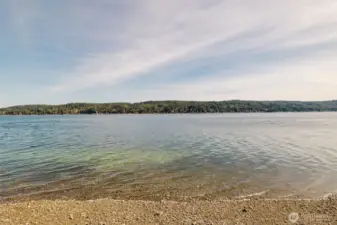 Oyster beds are show by the green line in the Hood Canal.