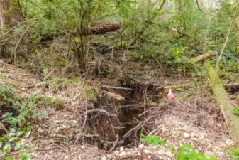 Perk test on upper west end of property