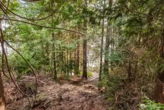 Upper west side of the property looking towards North Shore.