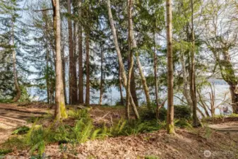 Standing at property's edge looking towards North Shore.