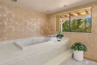 The lower level bath's soaking tub. Wow!