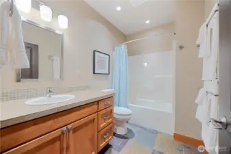 Guest Bath 2