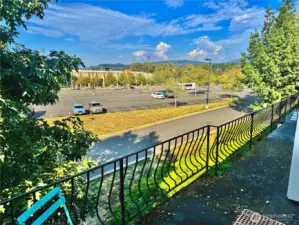 View from the patio