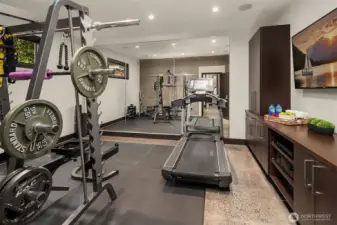 Main floor 2nd Bonus/Media/Playroom, currently used at Home Gym