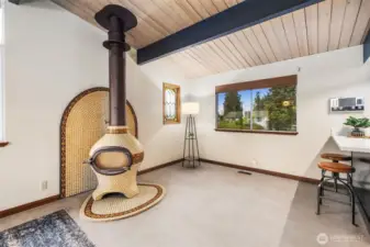 Meridian Ashless Stove