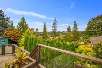 View from the patio and kitchen