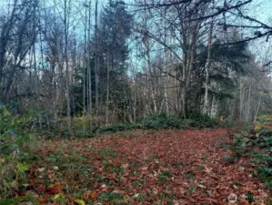 Potential building site