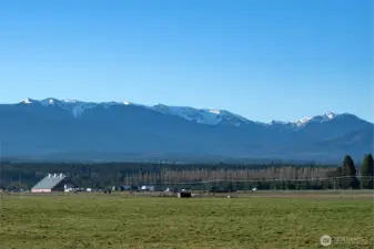 Panoramic Olympic Mountain Views