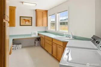 Utility room with ample storage space