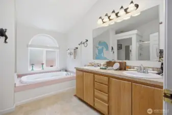 There is a large 2 sink vanity as well as a separate oversized shower and the large soaking tub, as well as a separate toilet room.