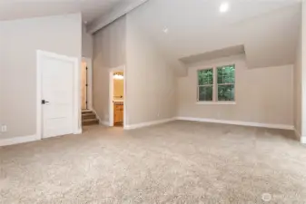 large 4th bedroom / second main bedroom or flex room