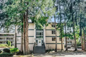 Entrance into the community