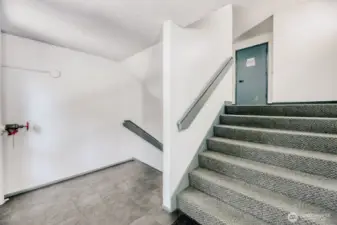 Stairs leading up to ground floor landing.