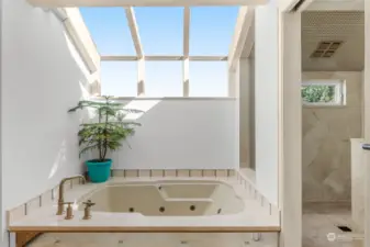 Jetted tub with skylights