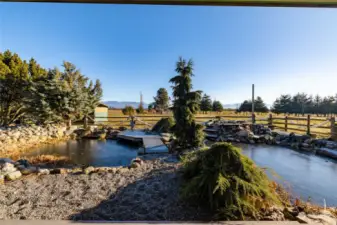 10,000 gallon beautiful Koi pond with waterfalls off the front deck.