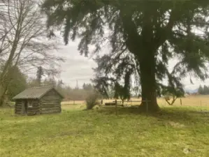 Obstacle field with a log cabin used for storage. King, Red delicious, honey crisp apple trees along with pear and prune trees.