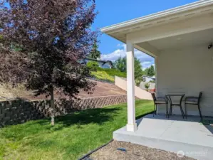 Low maintenance backyard