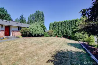Large front yard