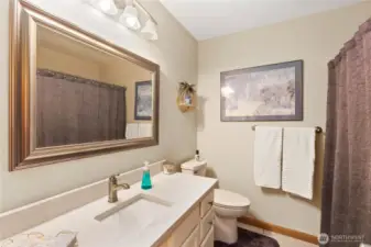 Main bathroom updated
